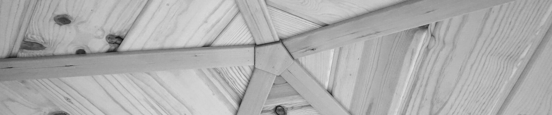 A close-up view of the panel trim in the Mini Dome in black and white.